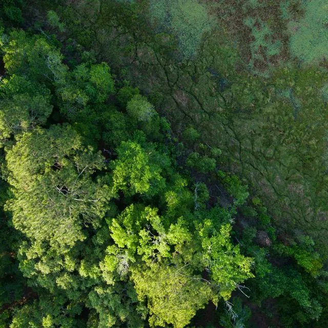 thumbnail for publication: Selected UAV Options for Agricultural Imaging and Mapping Applications under Florida’s UAS Regulations